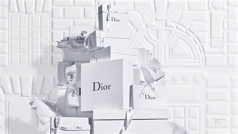 dior information|Dior official website.